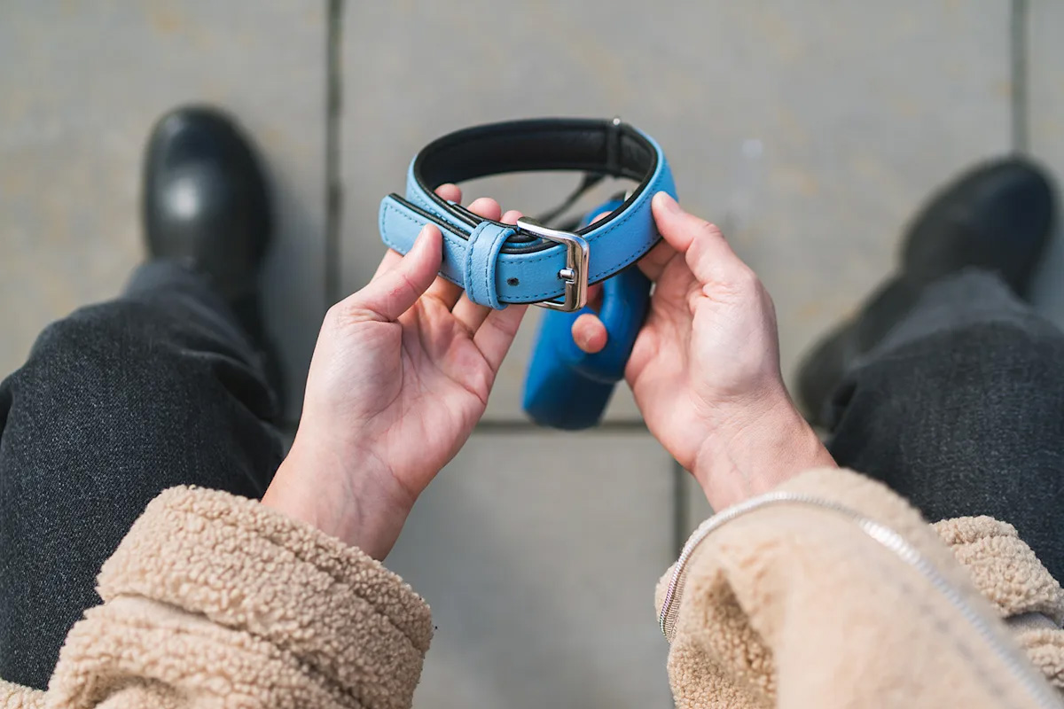 Person holding a dog tag