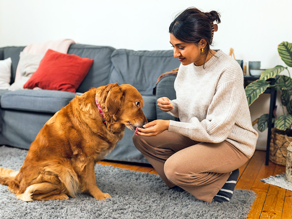 Woman giving her dog a vitamin at home.