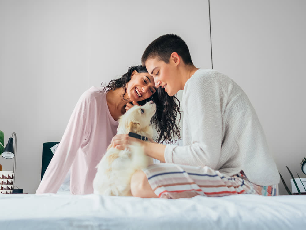 A couple playing with their dog