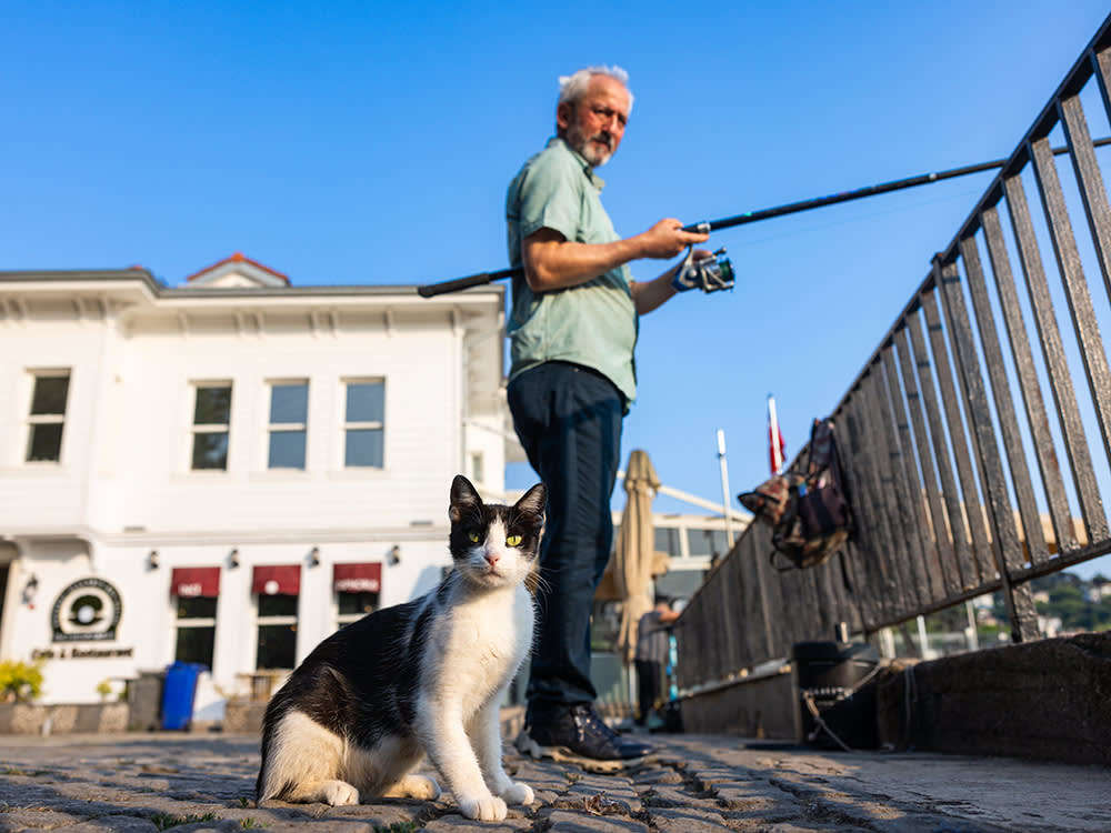 a cat poses near a fisherman in Turkey