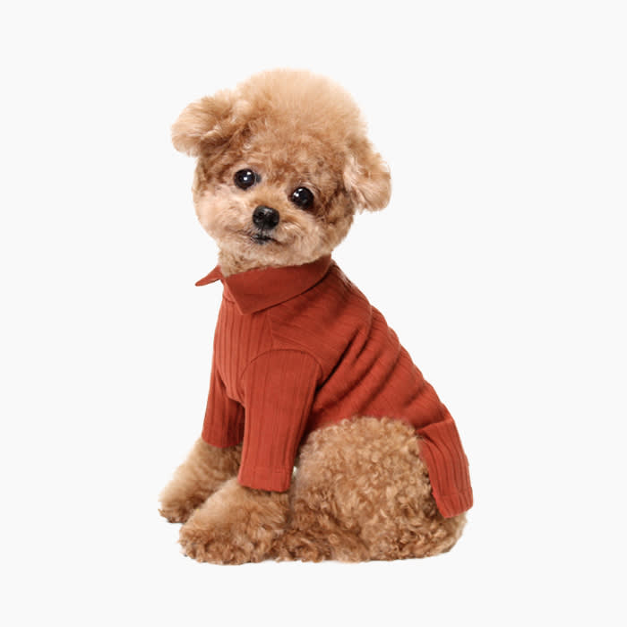 dog wearing huts and bay rib collar knit brick