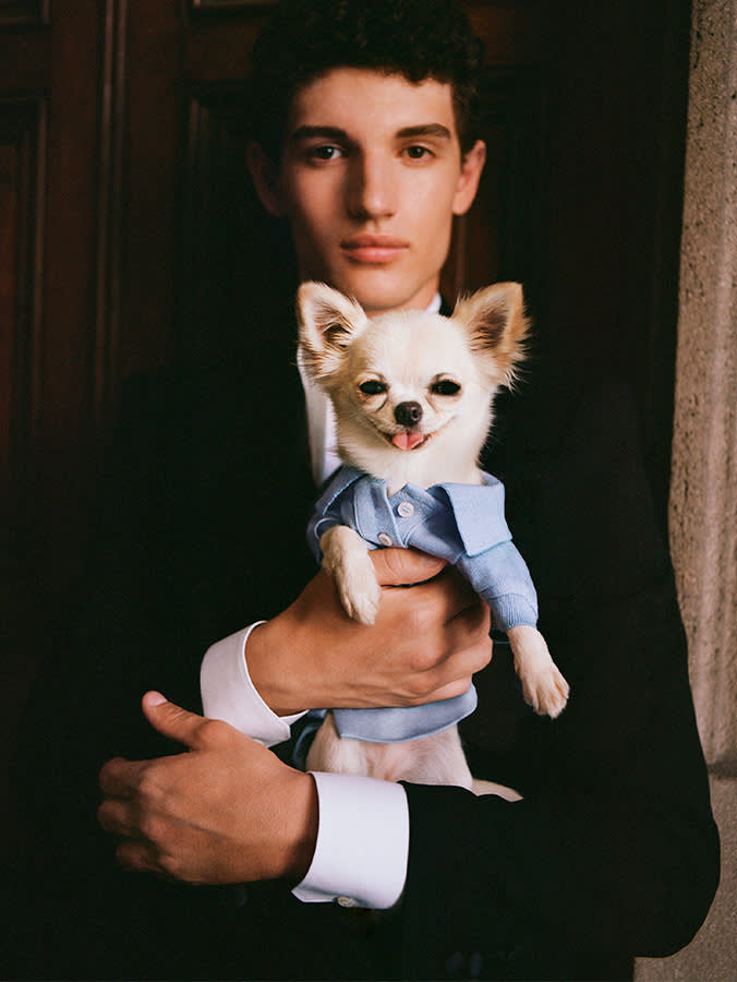 Introducing an exclusive selection of apparel and accessories for dogs. From artfully designed knitwear to the iconic #DGLeo print, every detail is crafted with the care and precision synonymous with the #DolceGabbana codes.