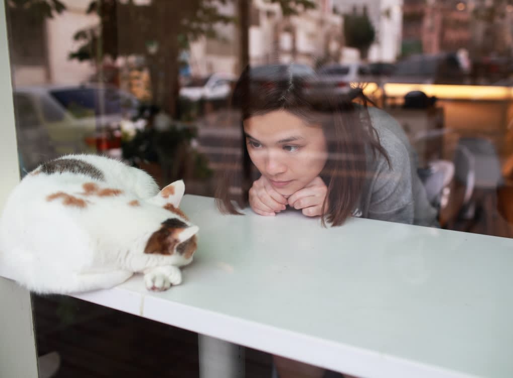 a girl looks at a cat cruled up on a counter top at a cafe