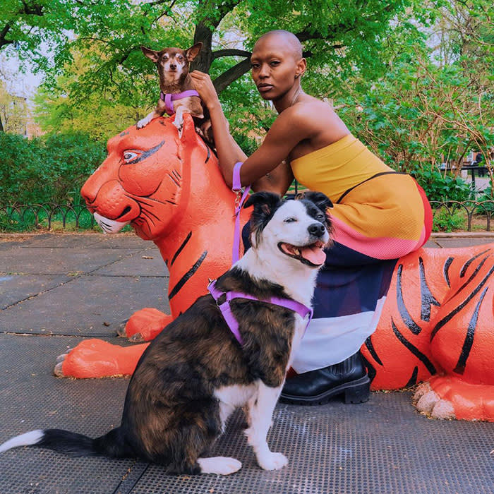 model sitting on plastic tiger with two dogs