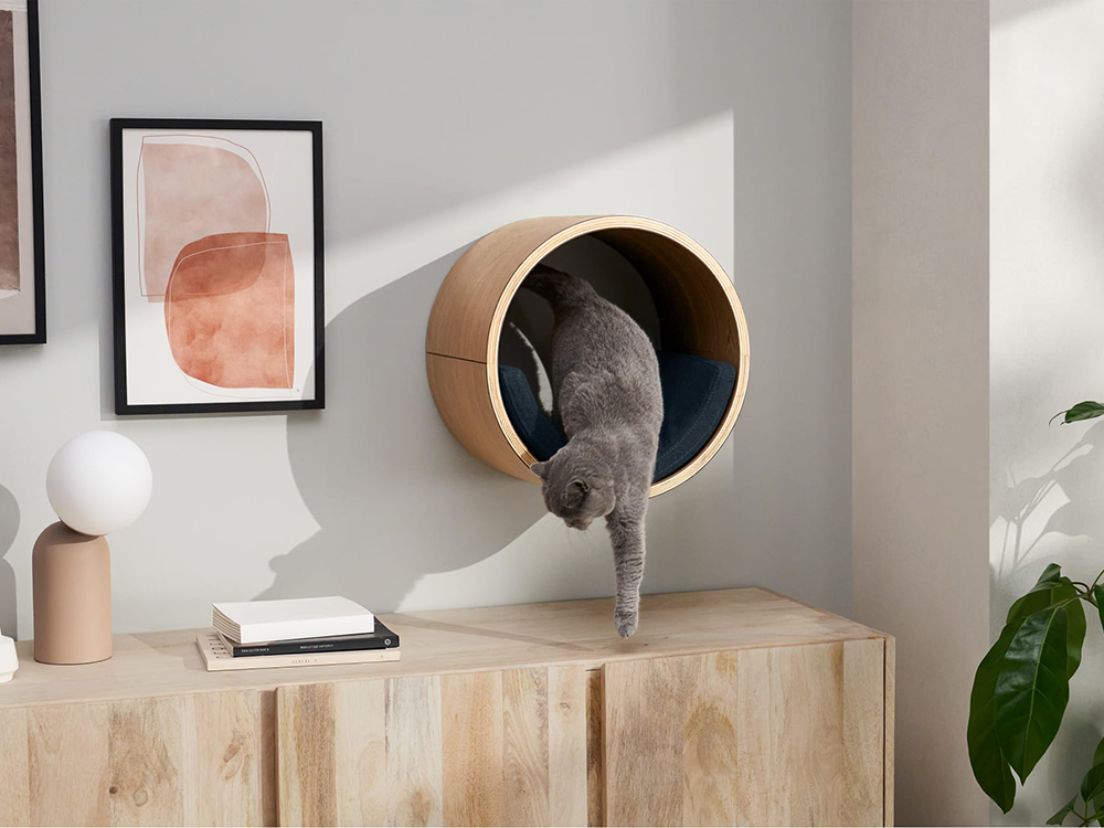 grey cat stepping onto credenza