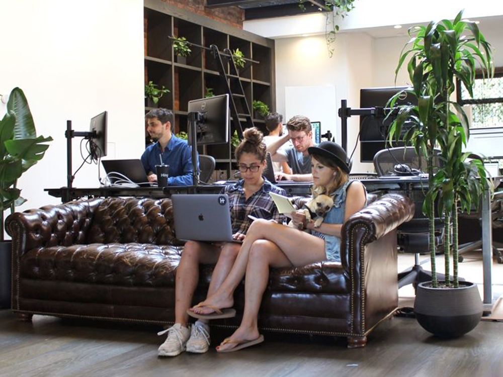 Hinge offices, employees with a dog 