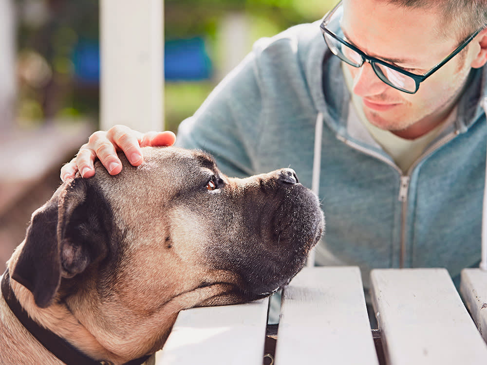 Man looking at his large dog's face outside.
