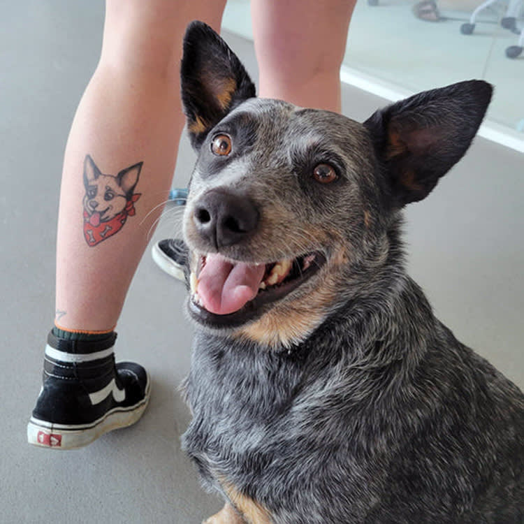 Small black dog next to woman with dog tattoo on her leg.