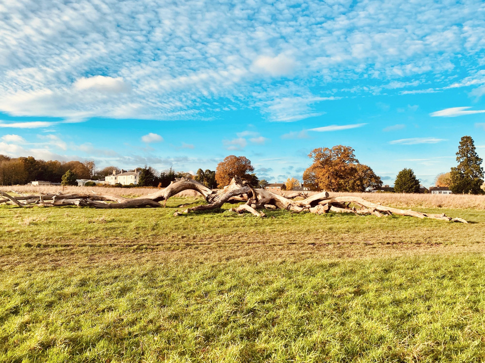 Catton Park, Norwich