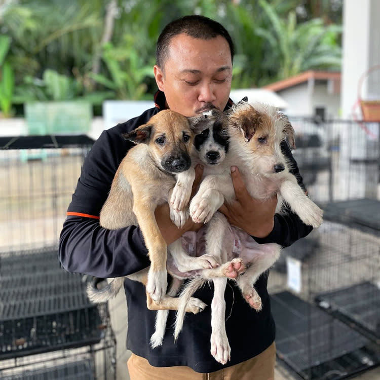 Man from Soi Dog Foundation holding 3 puppies.