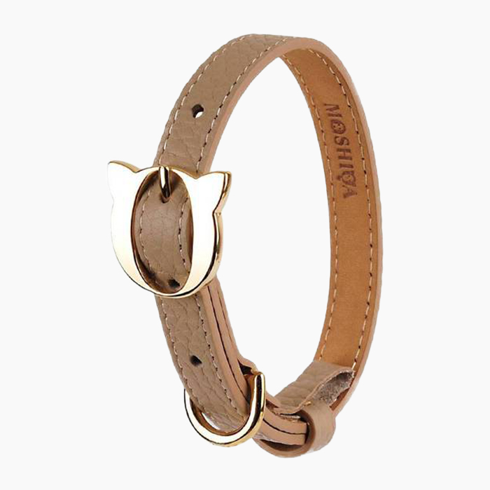 the collar in leather