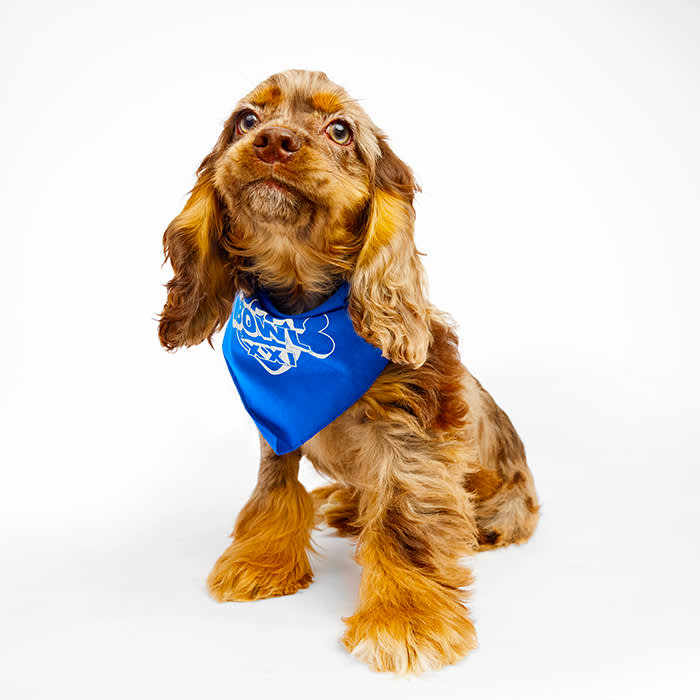 Charlotte Puppy Bowl