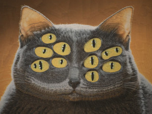cat with ten eyes
