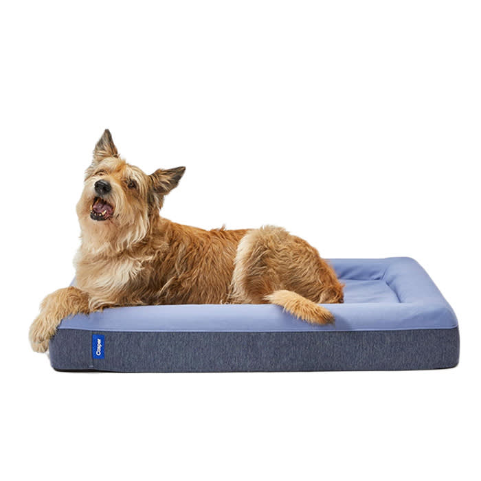 Casper Memory Foam Dog Bed