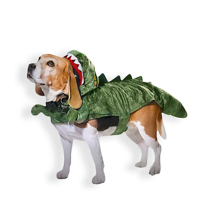 a dog in a dinosaur costume