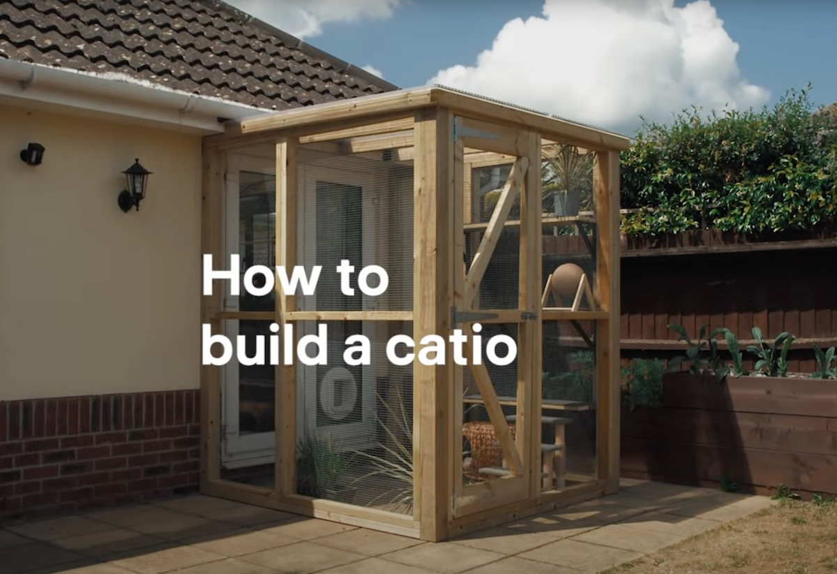 How to build a catio | DIY