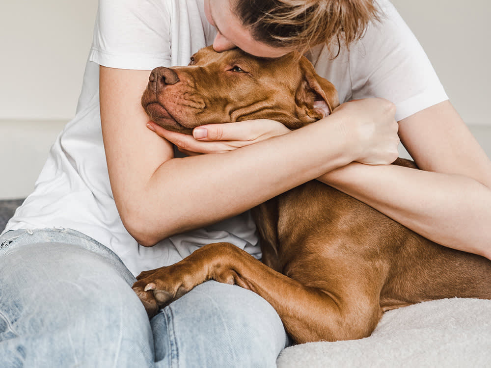 Young woman hugging a cute dog. Clear, sunny day. Close-up, indoors. Studio photo. Day light. Concept of care, education, obedience training and raising pet.
