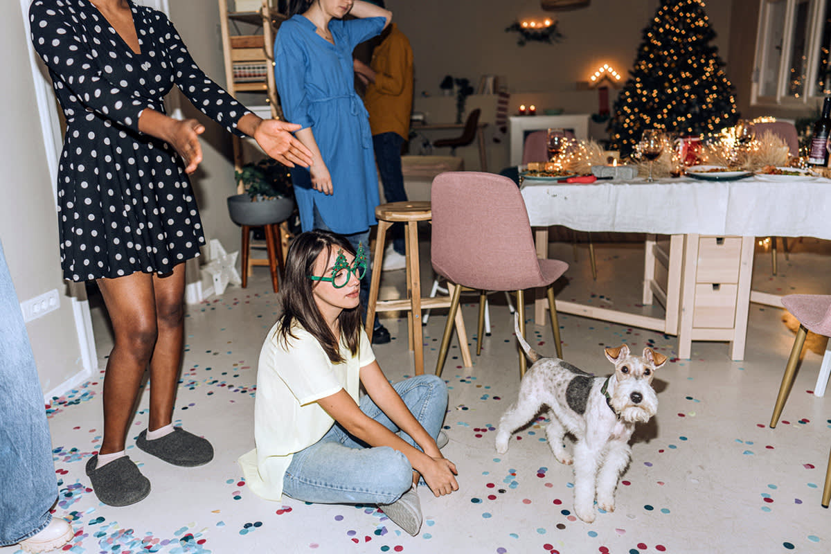 a dog looks stressed at a holiday party surrounded by guests