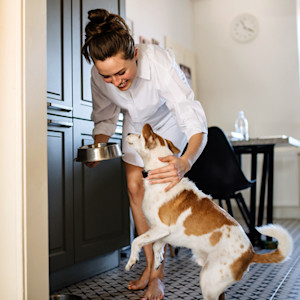 Woman getting dinner ready for her pet dog at home.