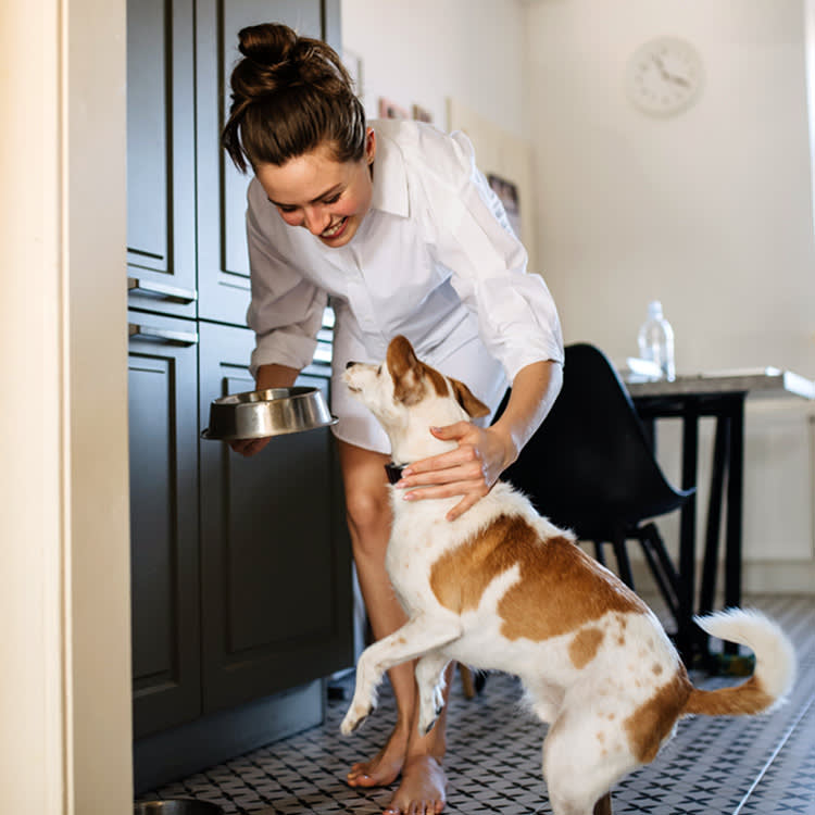 Woman getting dinner ready for her pet dog at home.