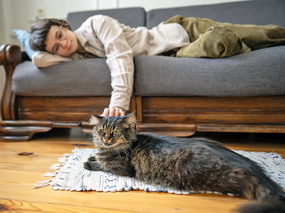 Woman petting her cat at home.