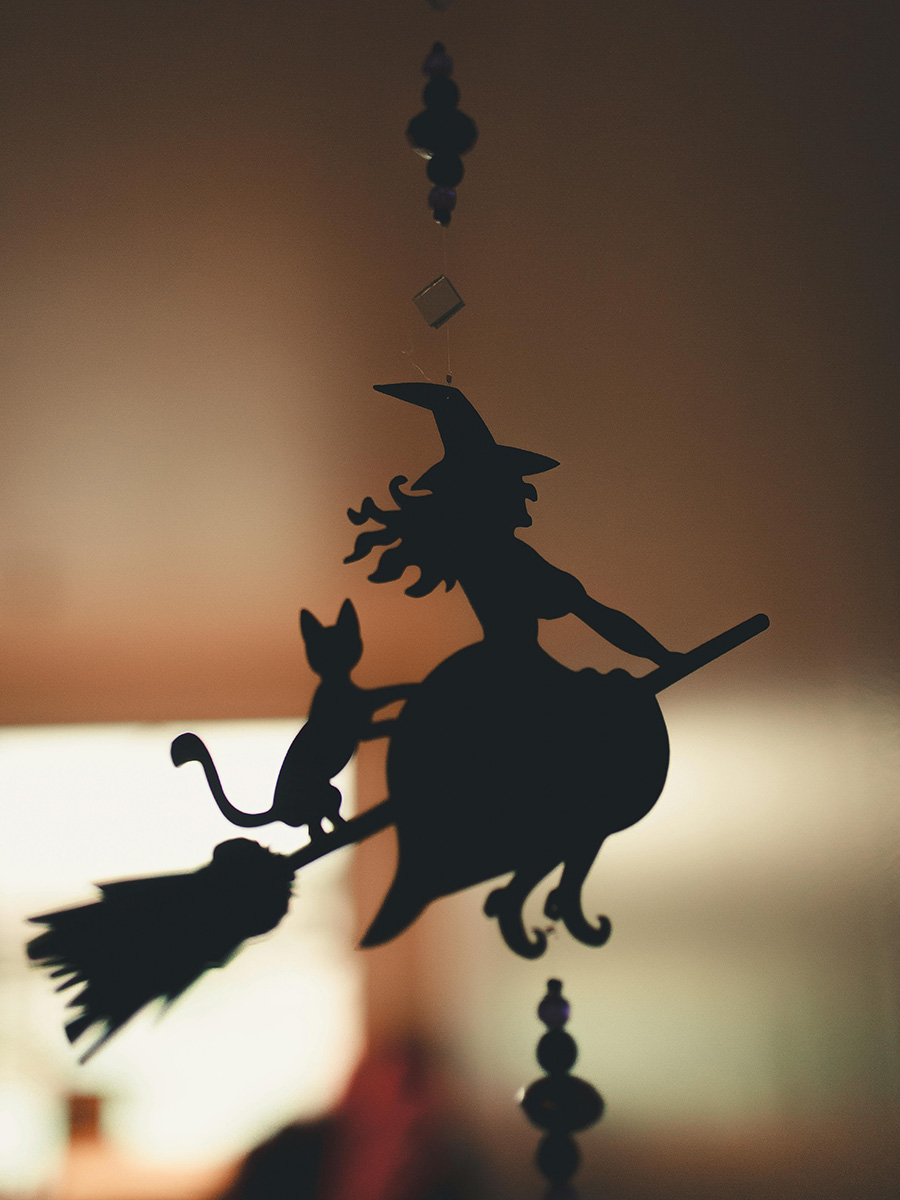 silhouette of a witch and a cat on a broom