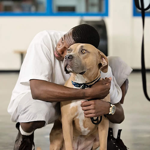 an incarcerated person hugs a brown dog