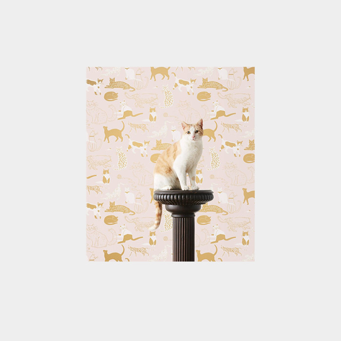 cat sitting on pedestal in front of pink and gold cat wallpaper
