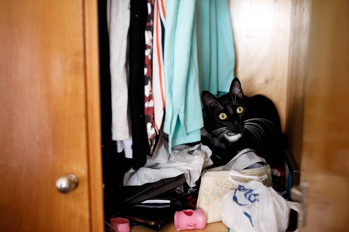 a picture of a scared black tuxedo cat hiding in a closet amongst hanging clothes