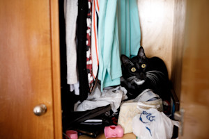 a picture of a scared black tuxedo cat hiding in a closet amongst hanging clothes