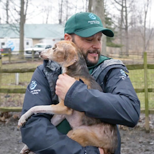More than 100 animals have been rescued from “an alleged neglect case at a licensed veterinarian’s residence” in Sandusky County.