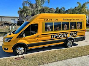 A rideshare-style app that helps pet owners schedule pickups, track rides in real time, and receive updates when their dogs are picked up or dropped off.