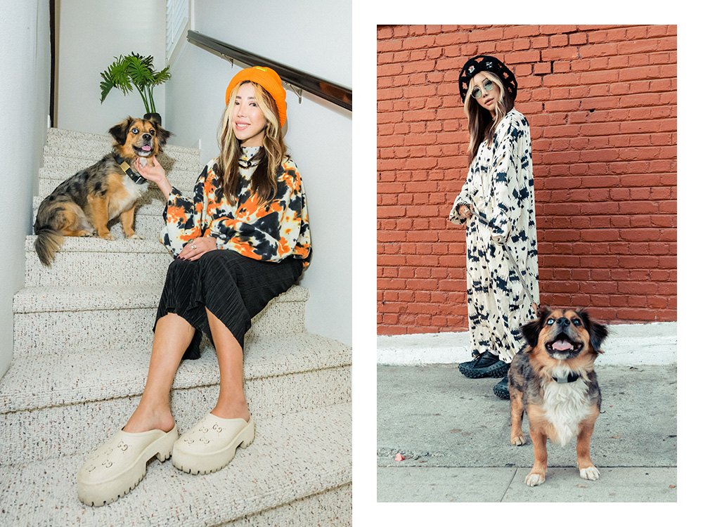 tokimonsta and dog