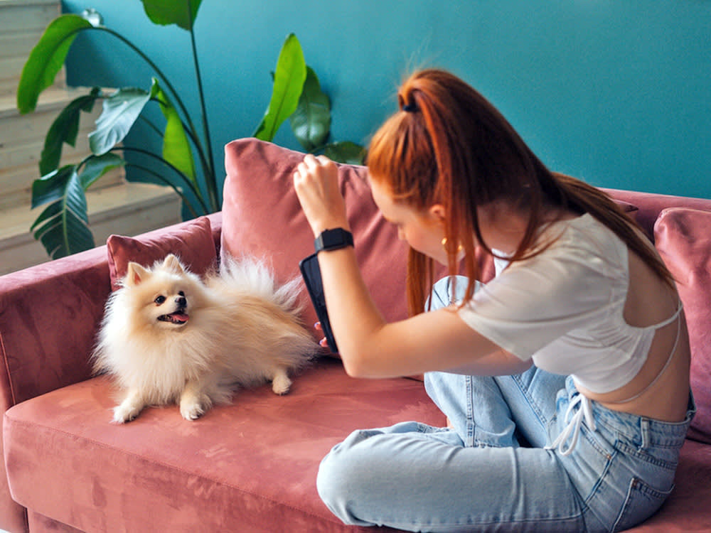 Woman taking a photo of her dog at home.