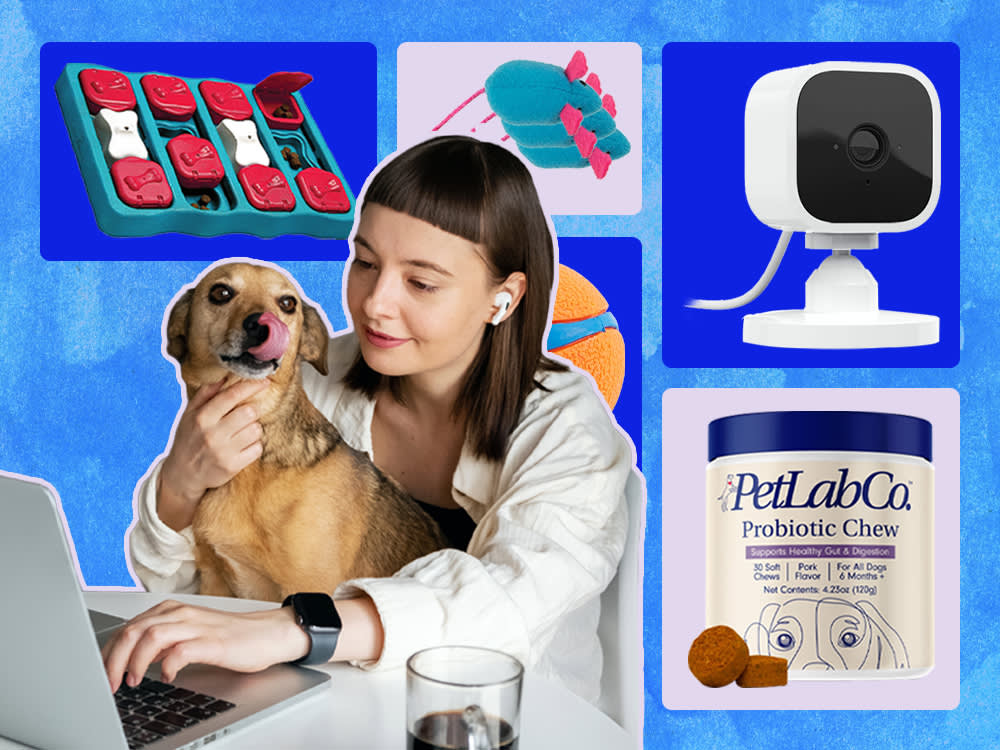 person holding their dog with interactive toy, mouse toy, pet cam, and probiotic chews collaged in the background