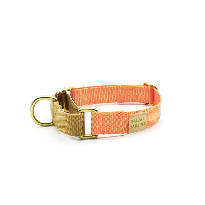 orange collar