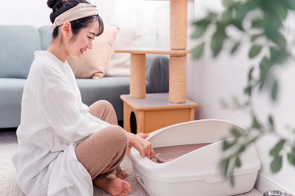Person cleaning a litter box