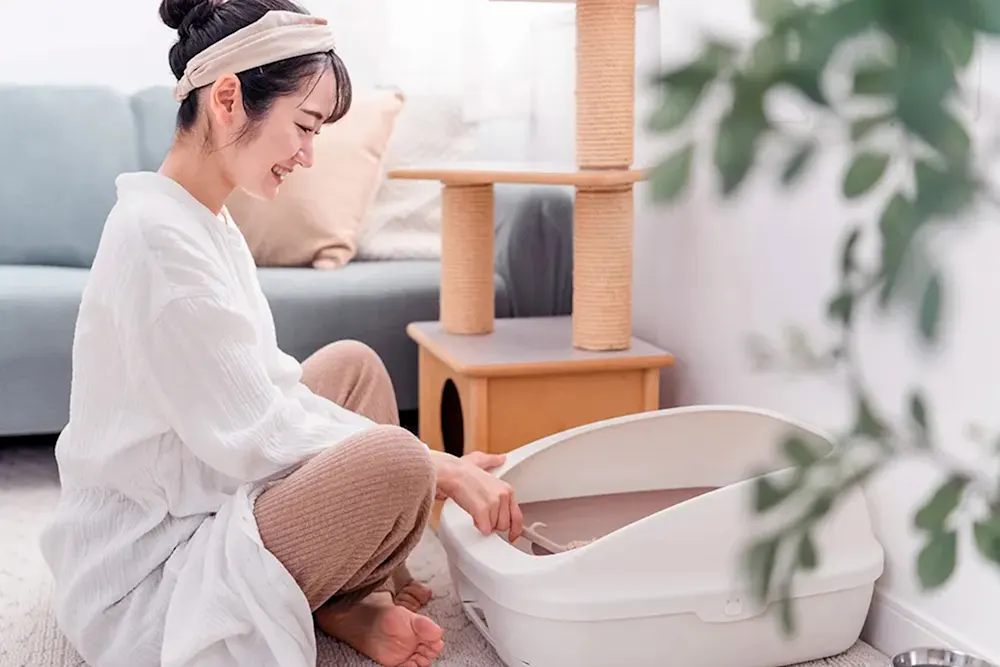 buritora / Adobe Stock