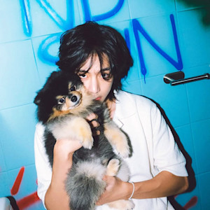 Kim Taehyung, better known as BTS member V, broke the terrible news to his followers that his dog, Yeontan, had passed away.