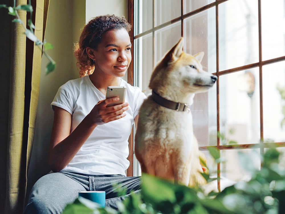 Pretty young woman is sitting on window sill and using smartphone while her cute calm shiba inu dog is sitting near her enjoying view.