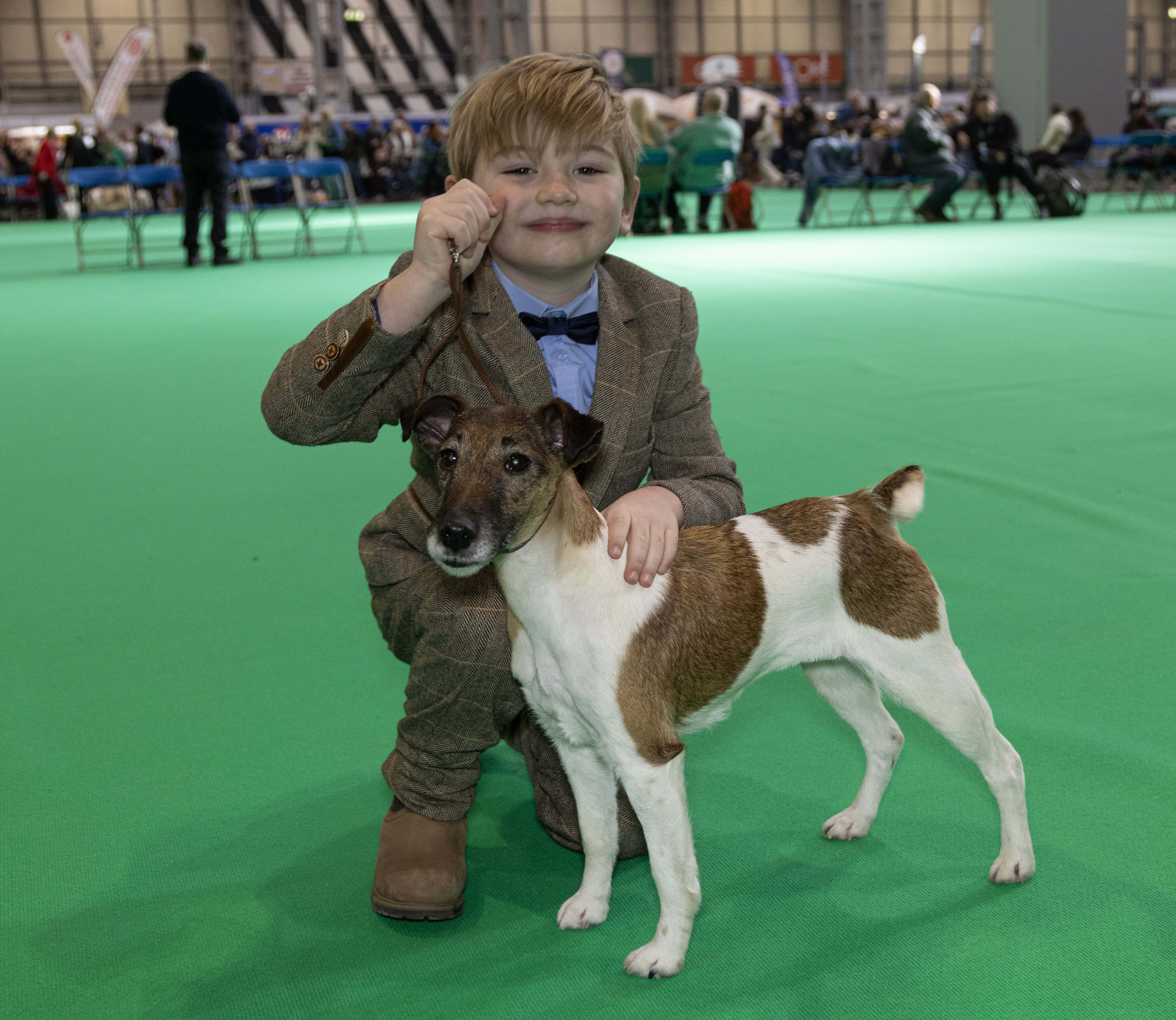 Dog at crufts 5
