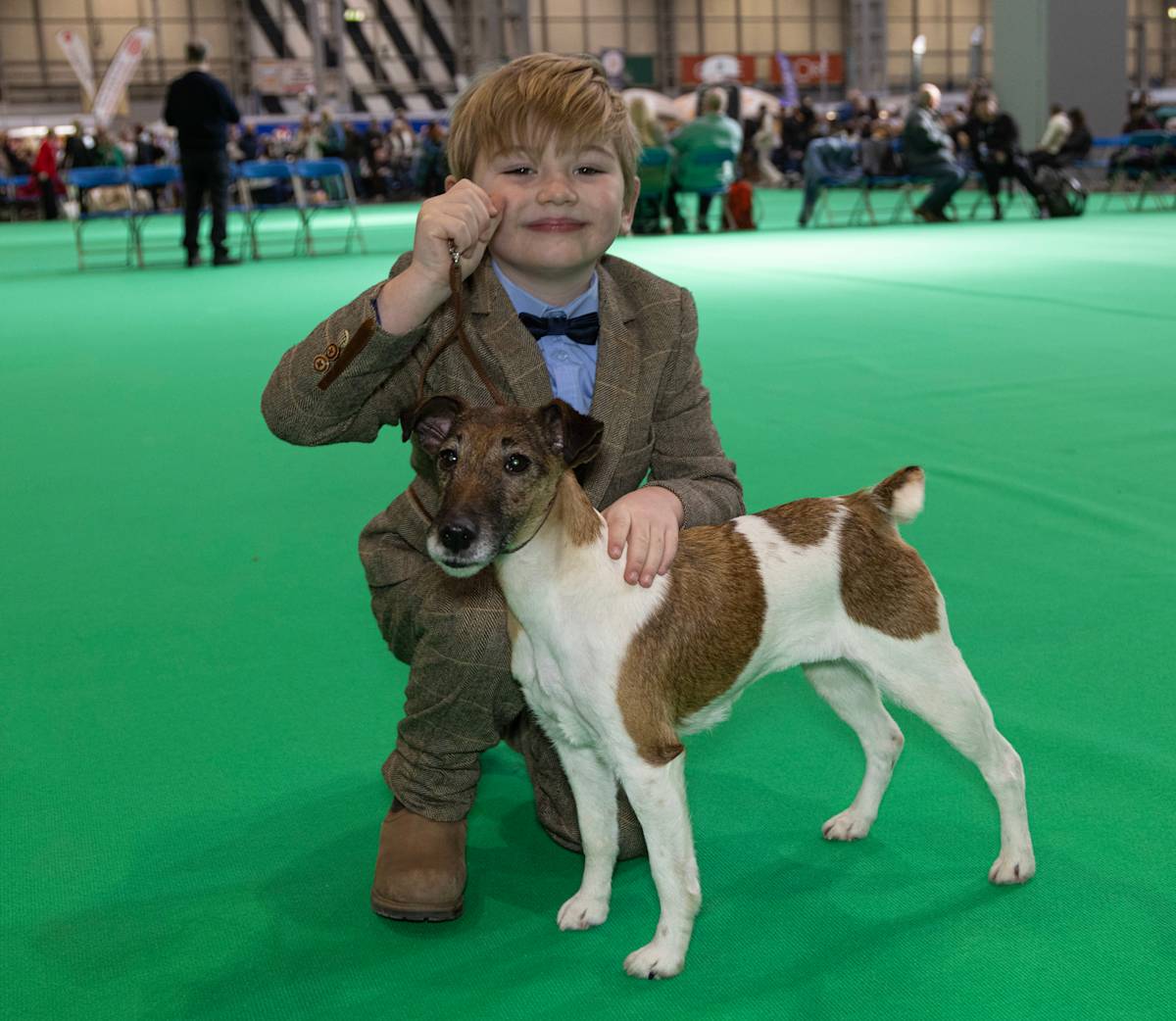 Dog at crufts 5
