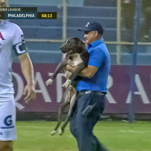 Man carrying dog off football field.