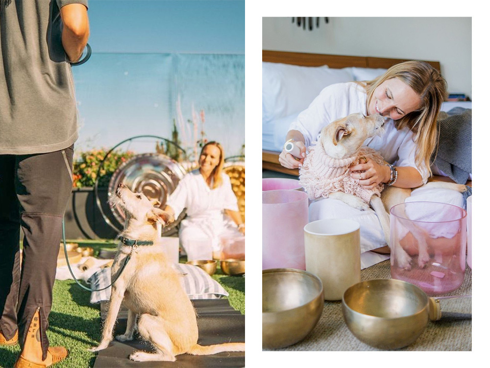 dog experiencing a sound bath and cuddling during sound bath