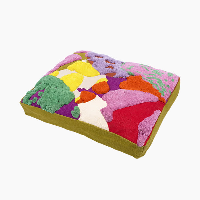 colorful dog bed
