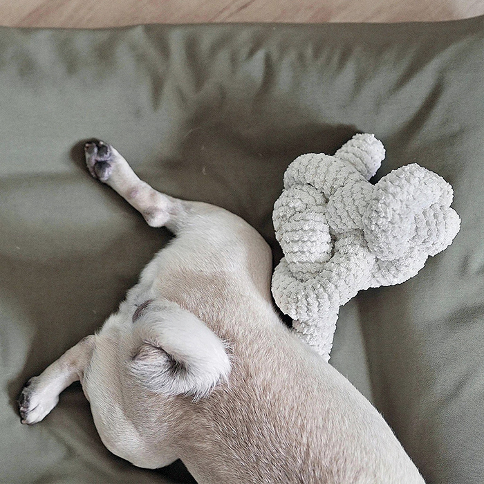modern beast wool bone toy