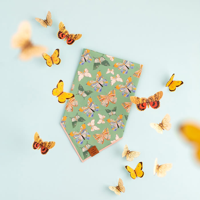 bandana with live butterflies