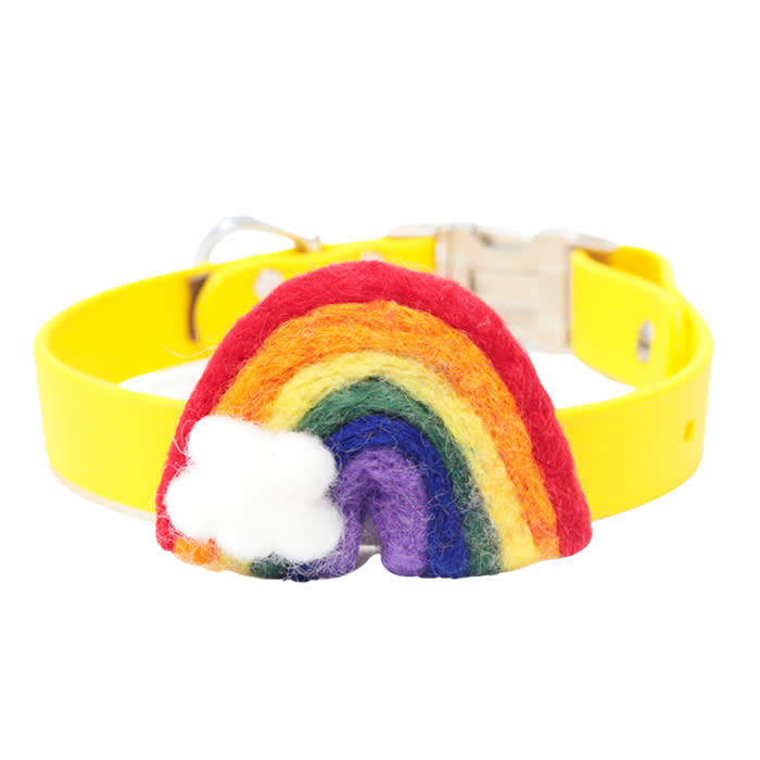 dog and co rainbow pet collar accessory 