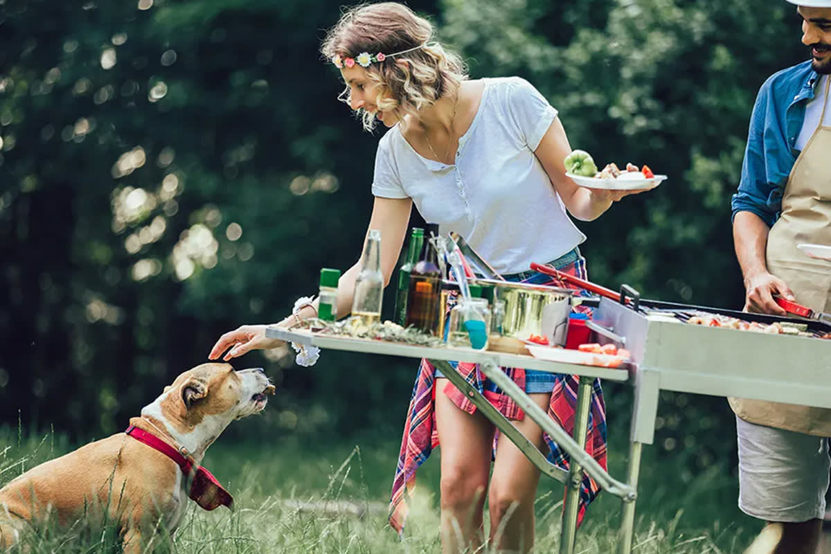 dogs around food at a bbq