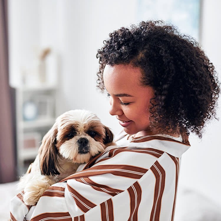 Woman holding her Shitzu dog at home.